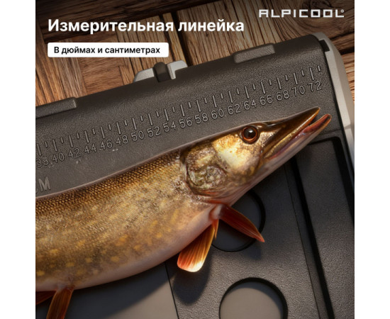 Alpicool TS100 (12/24)