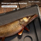 Alpicool TS100 (12/24)