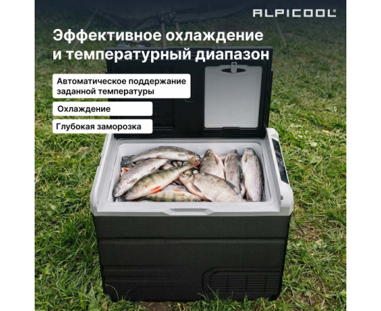 Alpicool TS60 (12/24)