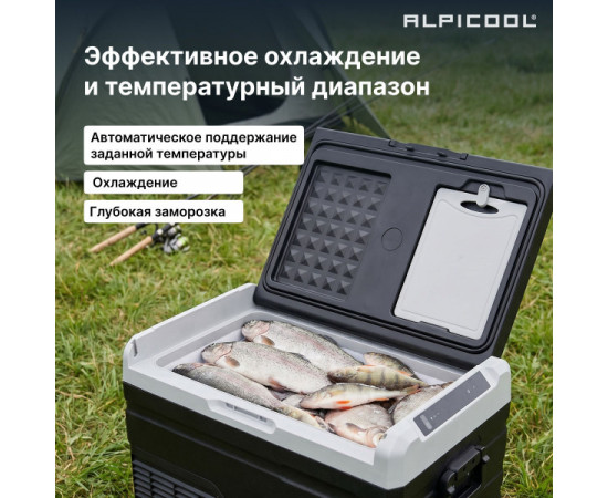 Alpicool TS40 (12/24)