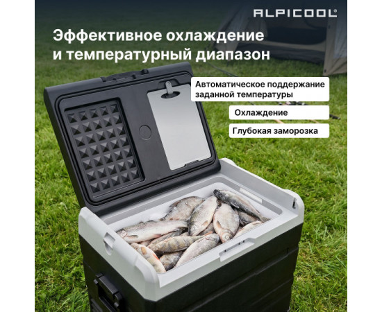 Alpicool TS50 (12/24)