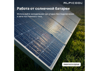 Alpicool P15 (12/24)