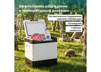 Alpicool P22 (12/24)