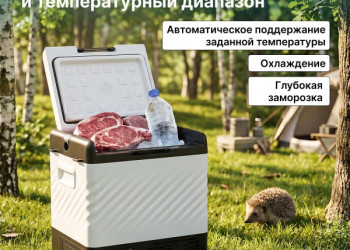 Alpicool P22 (12/24)