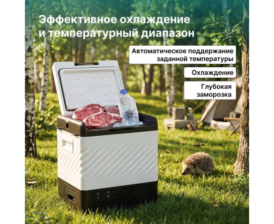 Alpicool P22 (12/24)