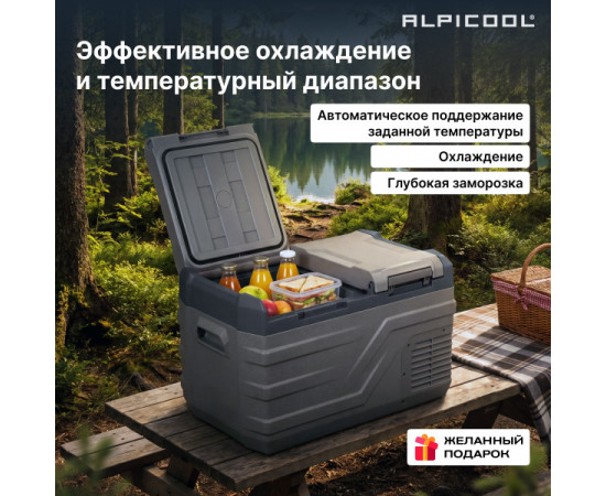 Alpicool NLD35 (12/24)
